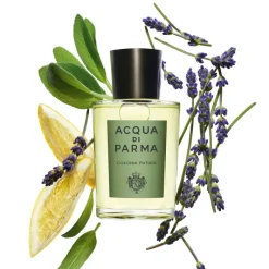 Fougère^Acqua Di Parma Colonia Futura